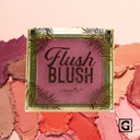 AMOR US RUBOR FLUSH BLUSH 11 PLUM